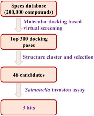 Identification of Novel Type Three Secretion System (T3SS) Inhibitors by Computational Methods and Anti-Salmonella Evaluations